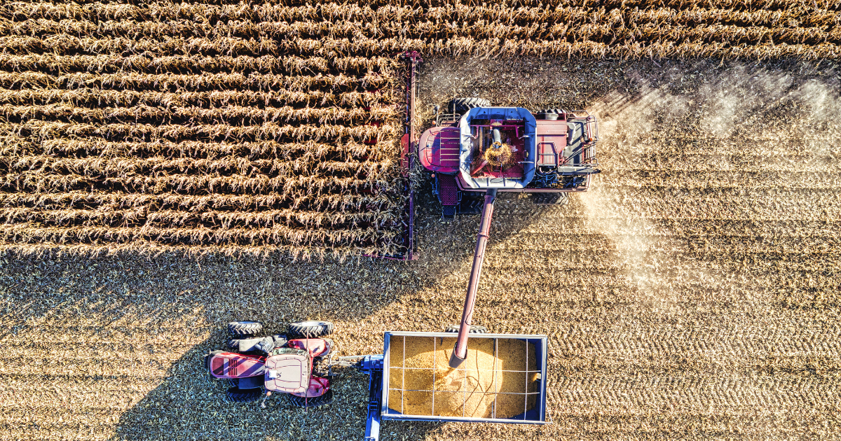 5-powodow-odrzucenia-wniosku-mlody-rolnik-2026