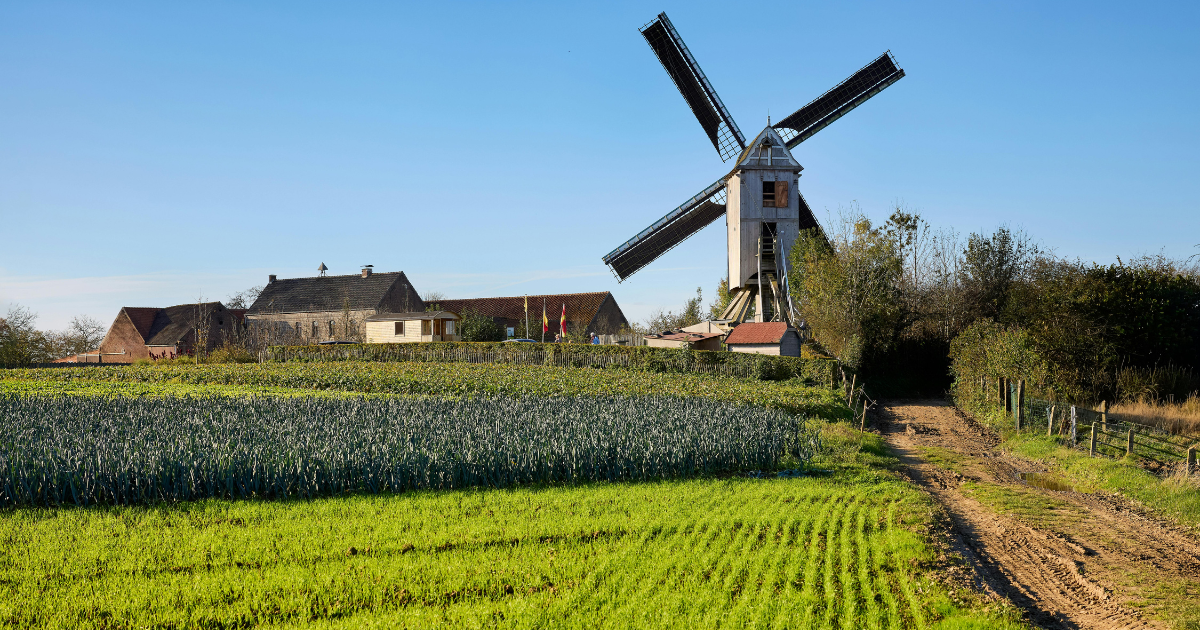 dotacja lgd powody rezygnacji