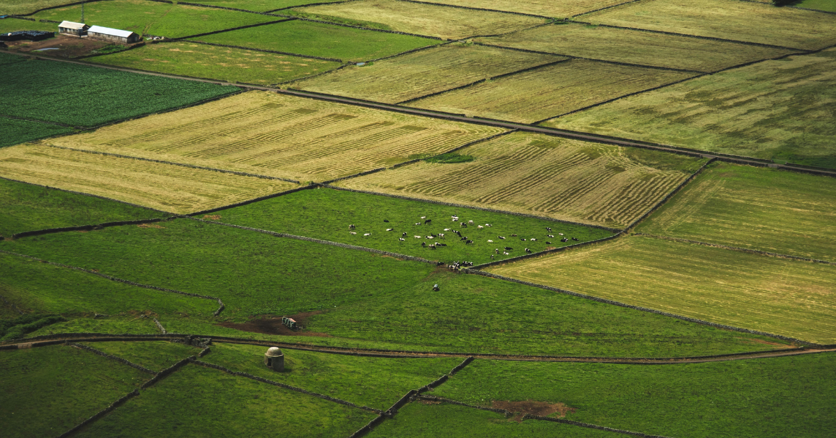 zwolnienie z podatku rolnego przez 5 lat jak to zrobic