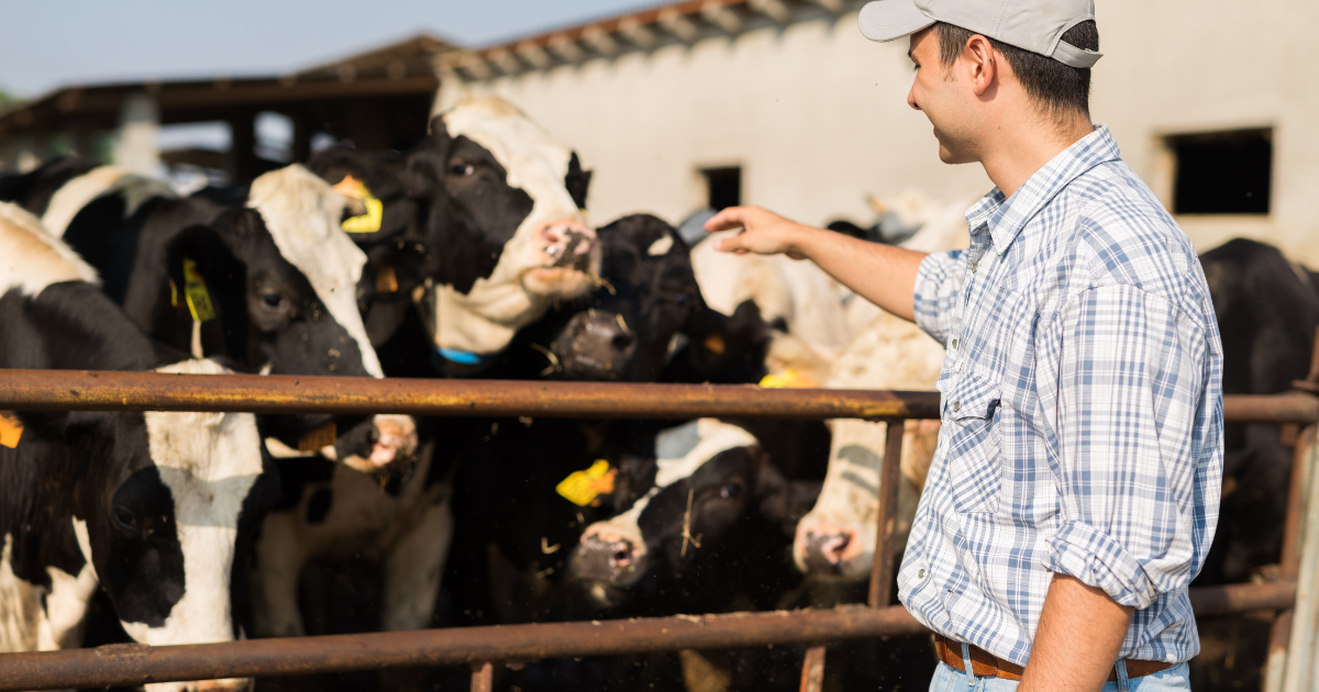 Mlody Rolnik 2026 jak startowac od zera