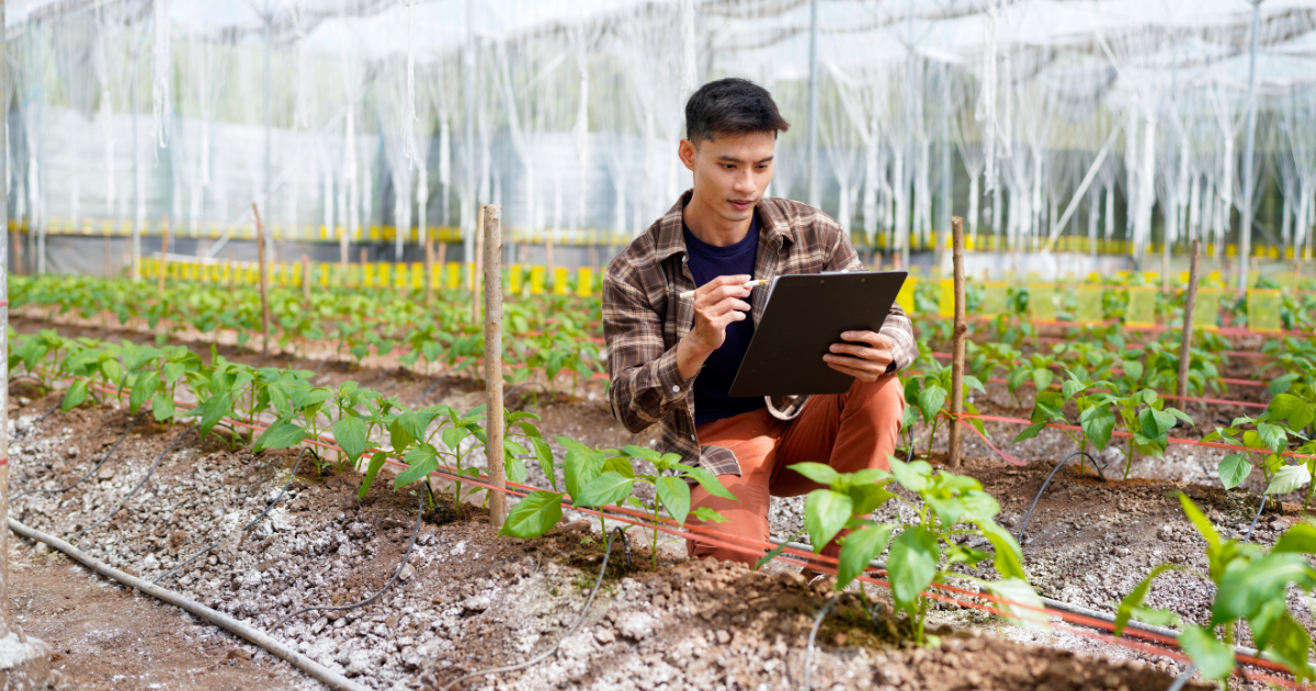 dotacja-ncr-na-agro-innowacje